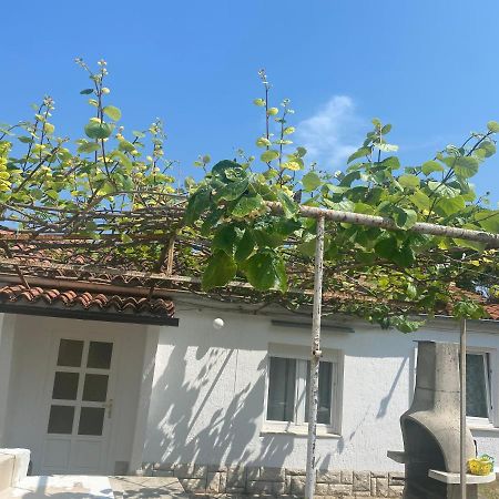 شقة Apartman Nela بوريتش المظهر الخارجي الصورة