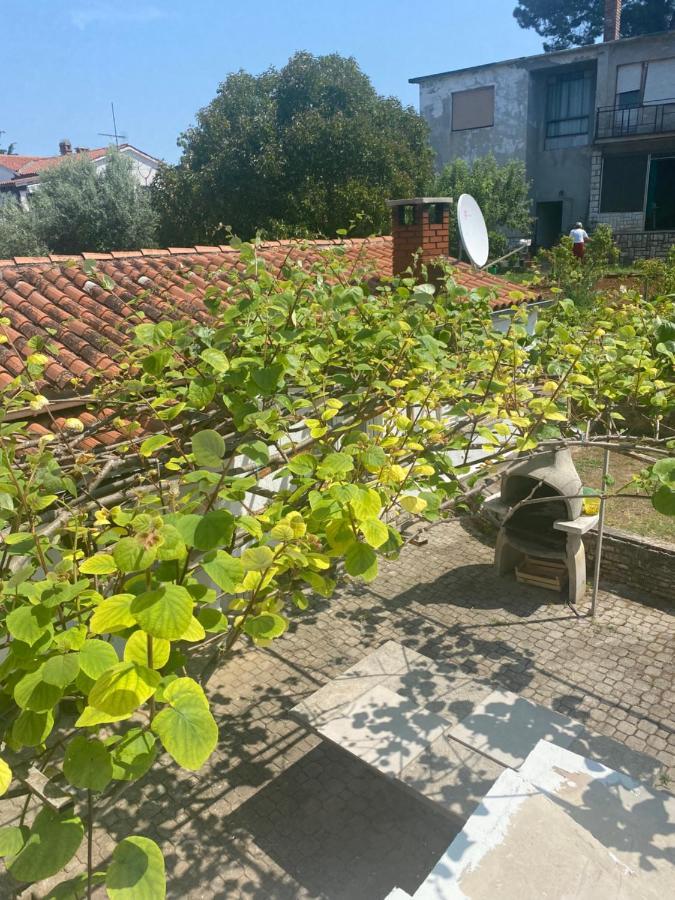 شقة Apartman Nela بوريتش المظهر الخارجي الصورة